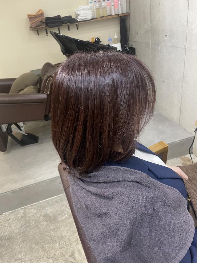 メニュー写真