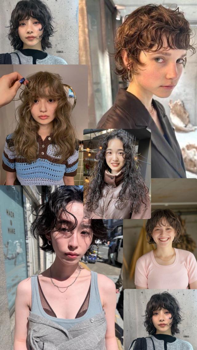 メニュー写真