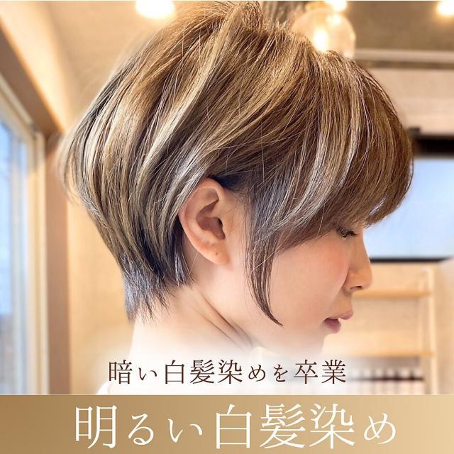 メニュー写真