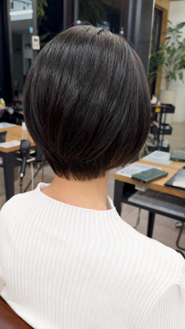 のスタイル画像