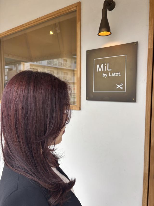 メニュー写真