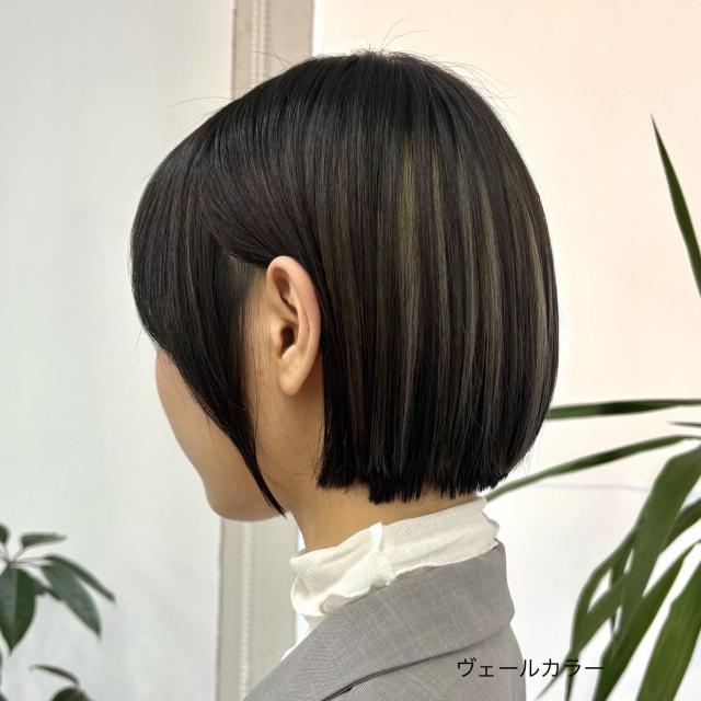 メニュー写真