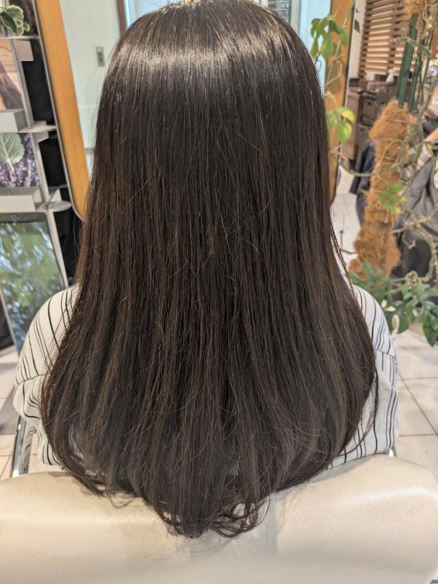 のスタイル画像