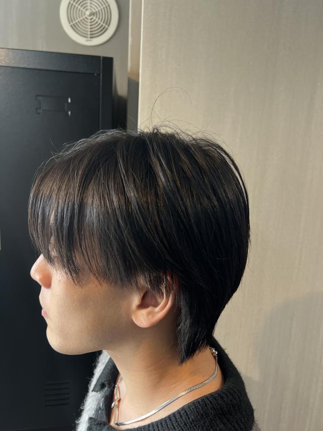 のスタイル画像