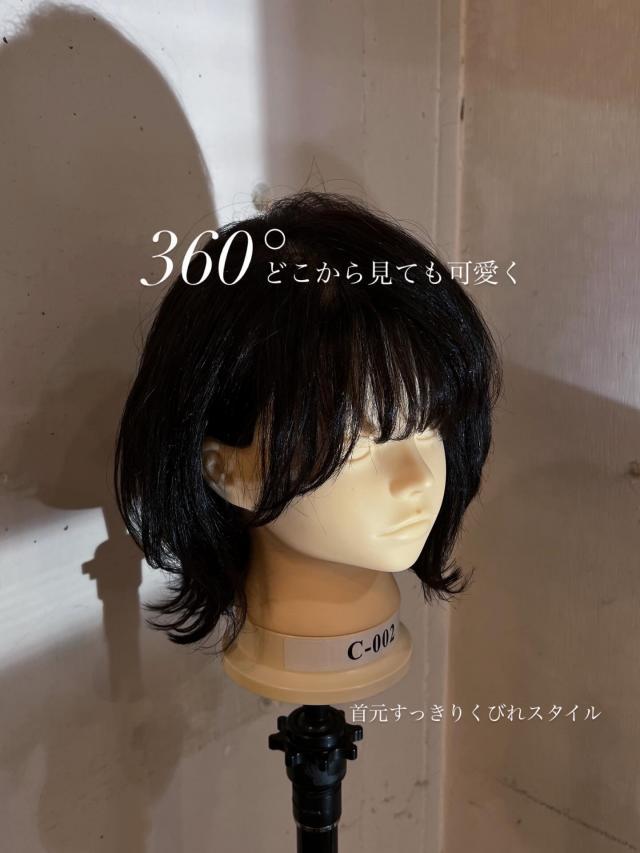 のスタイル画像