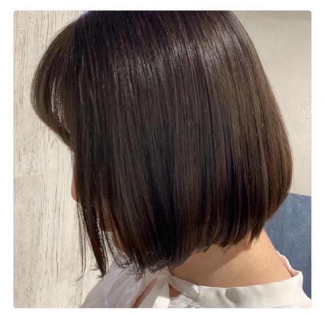メニュー写真
