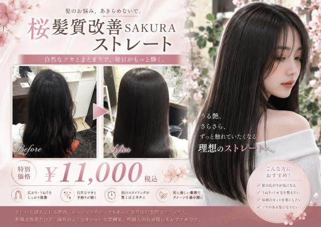 メニュー写真