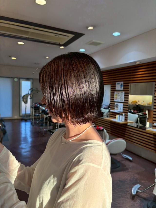 メニュー写真