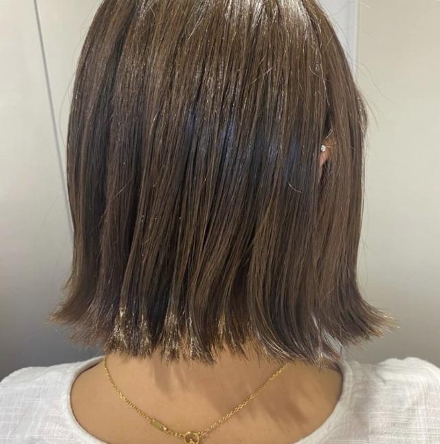 メニュー写真