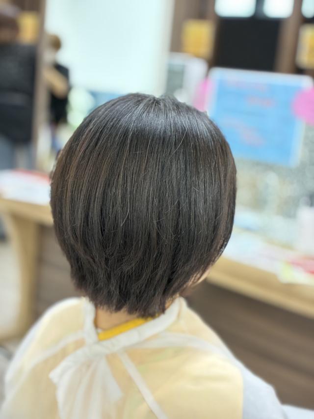 メニュー写真
