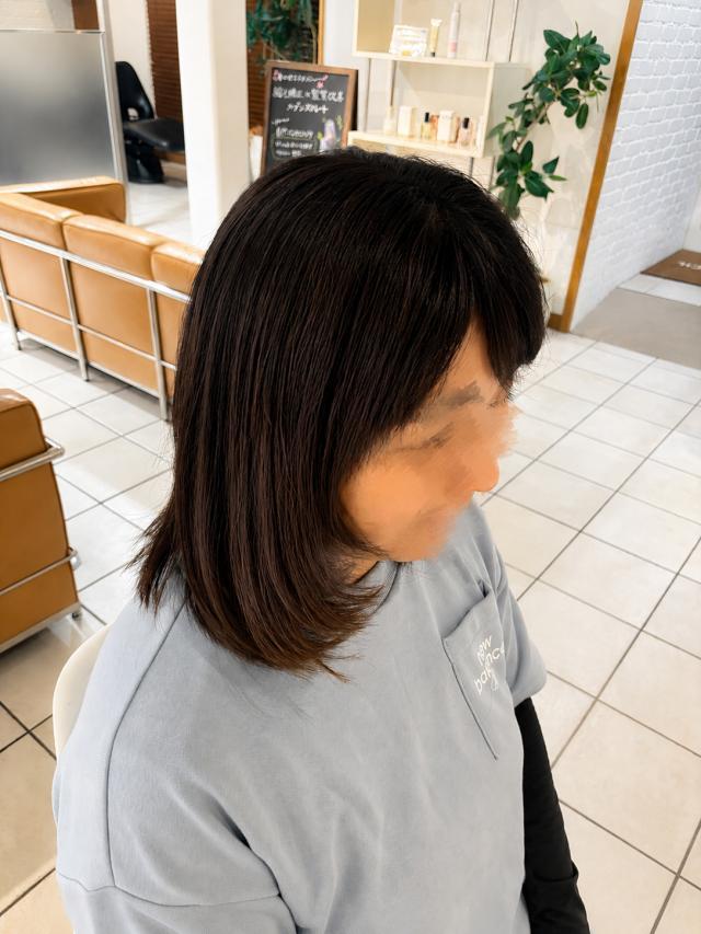 のスタイル画像
