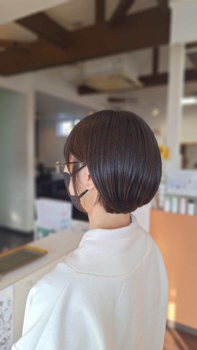 メニュー写真