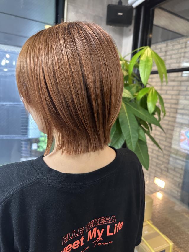 メニュー写真