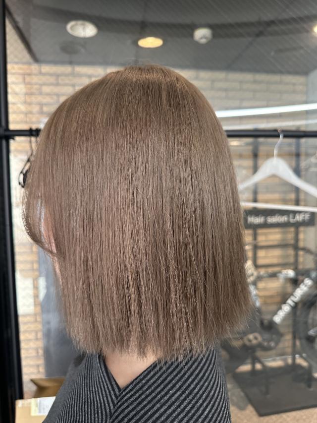 メニュー写真