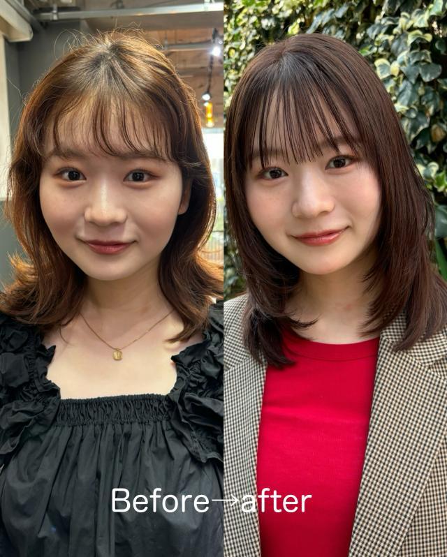 メニュー写真