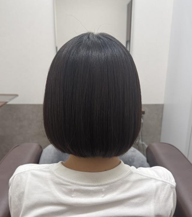 メニュー写真