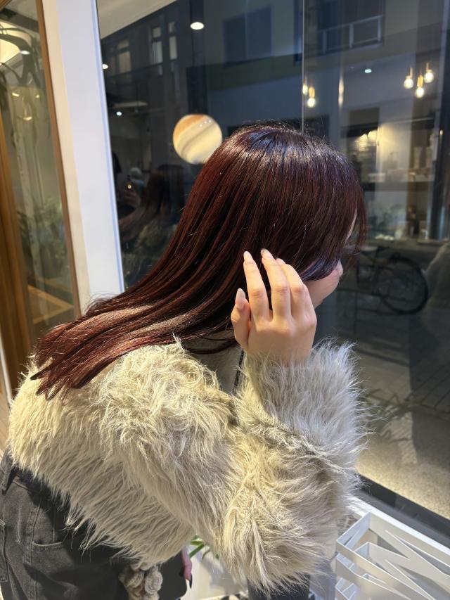のスタイル画像