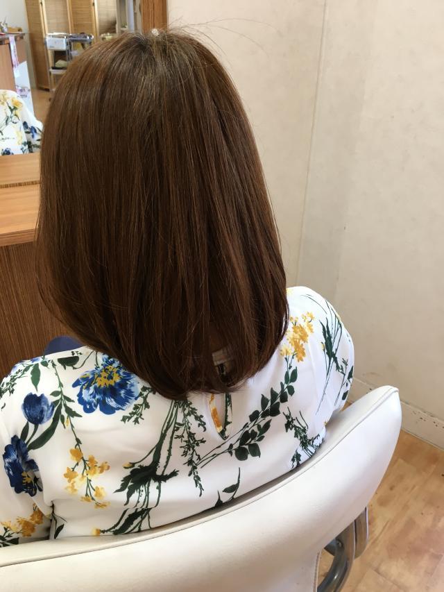 メニュー写真