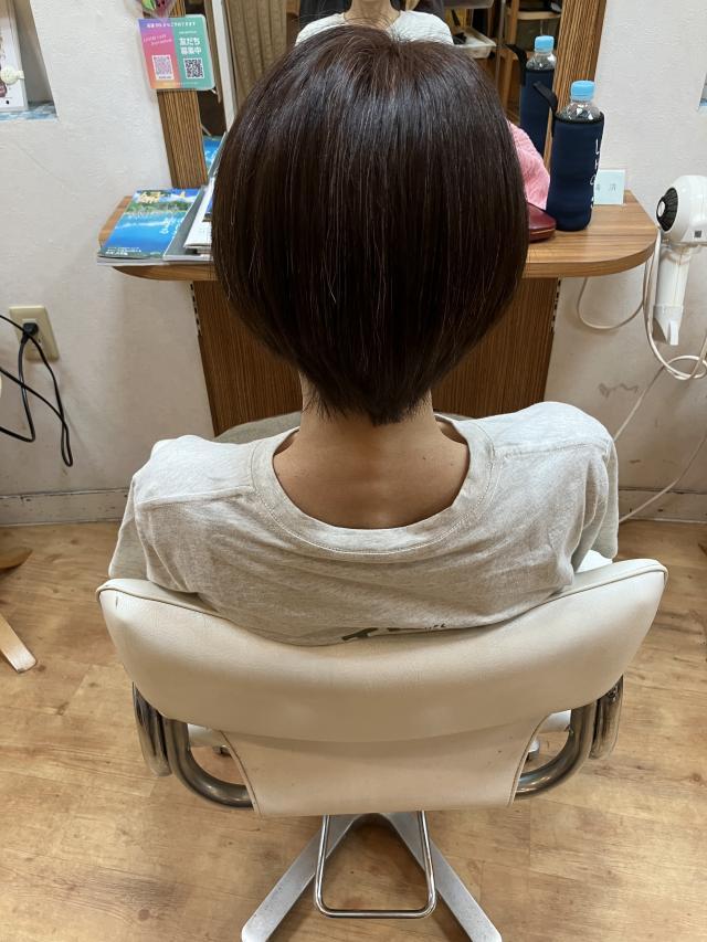 のスタイル画像