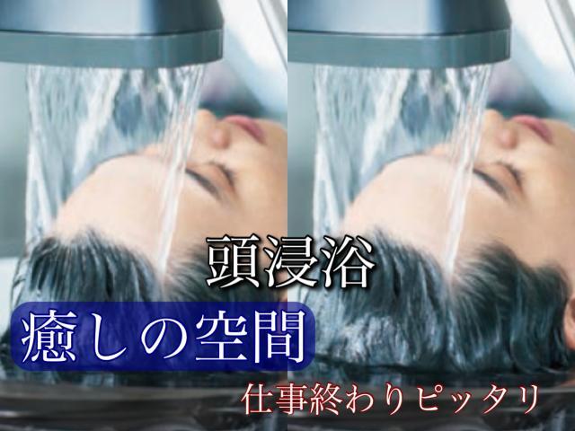 メニュー写真