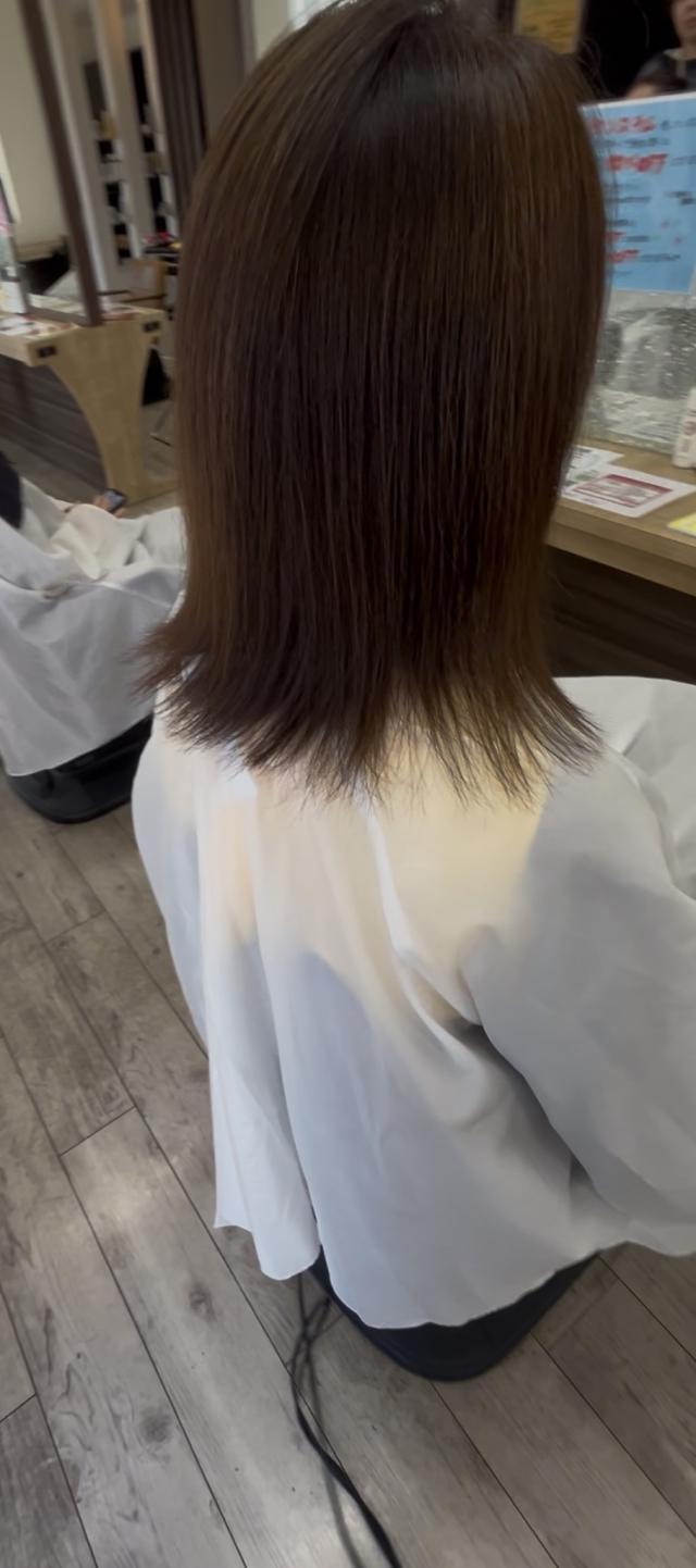 メニュー写真