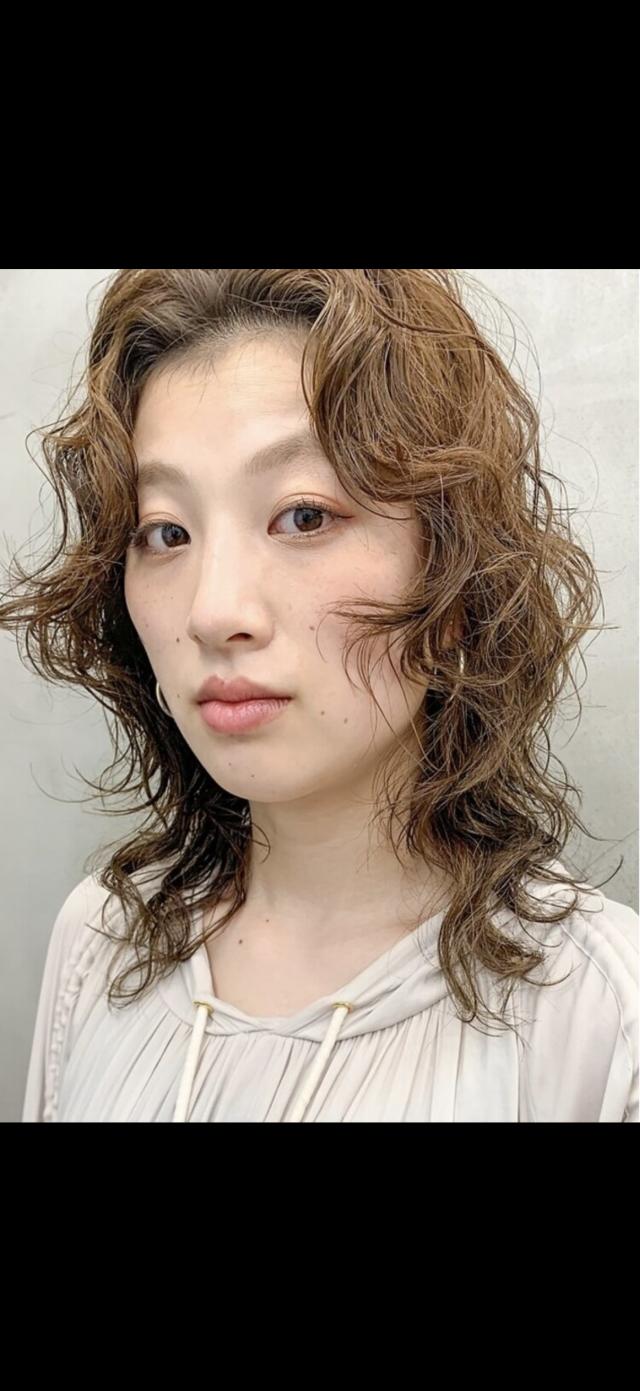 メニュー写真