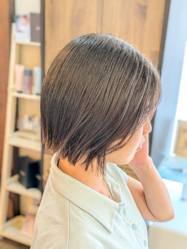 メニュー写真
