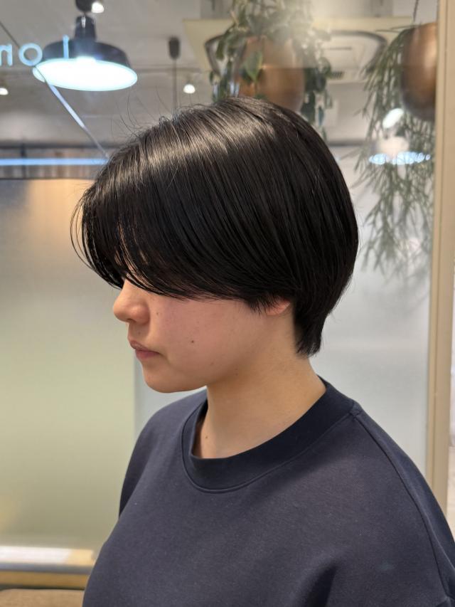 のスタイル画像