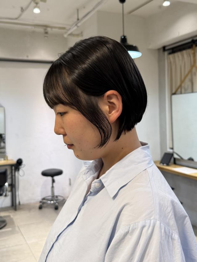 のスタイル画像