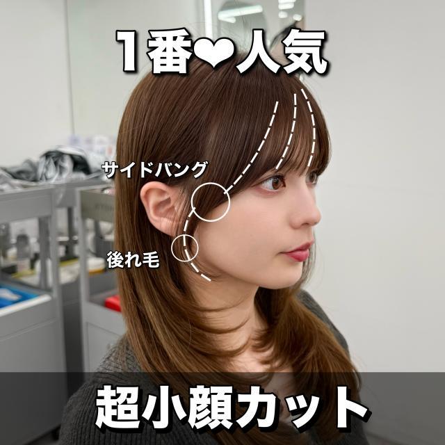 のスタイル画像