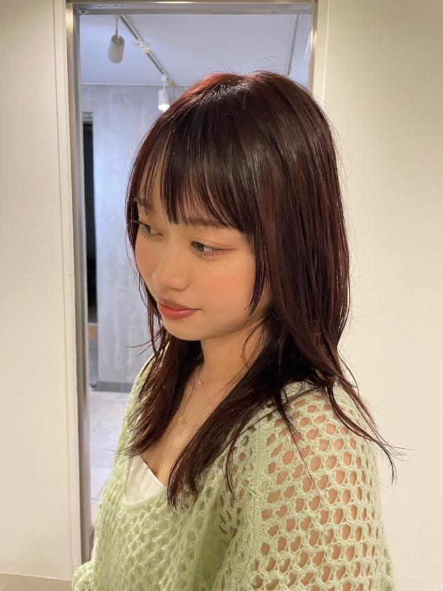 メニュー写真