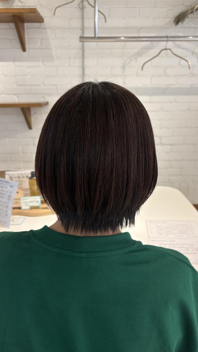 のスタイル画像