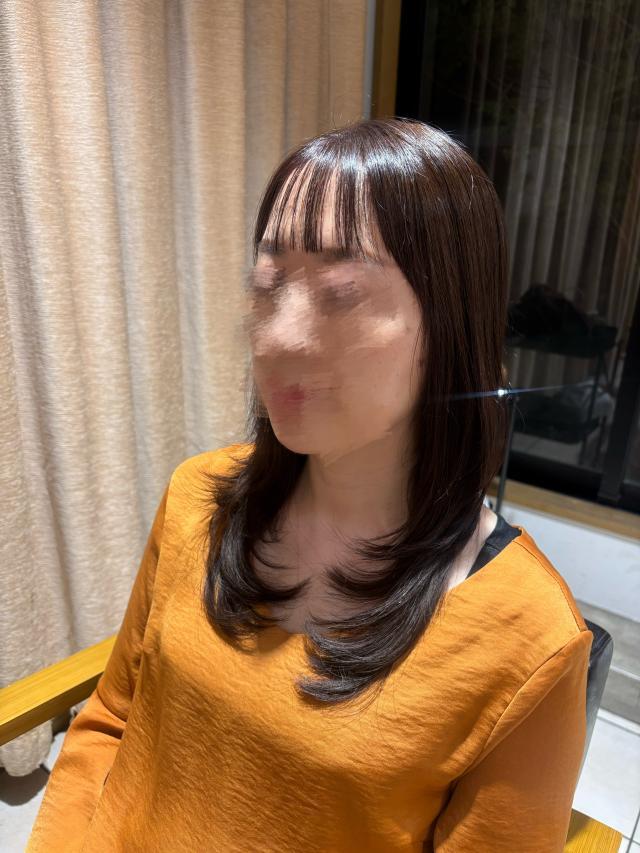のスタイル画像