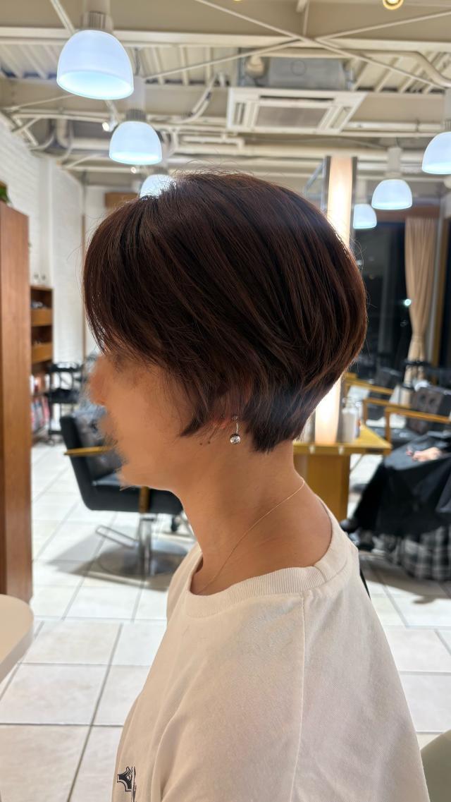 のスタイル画像